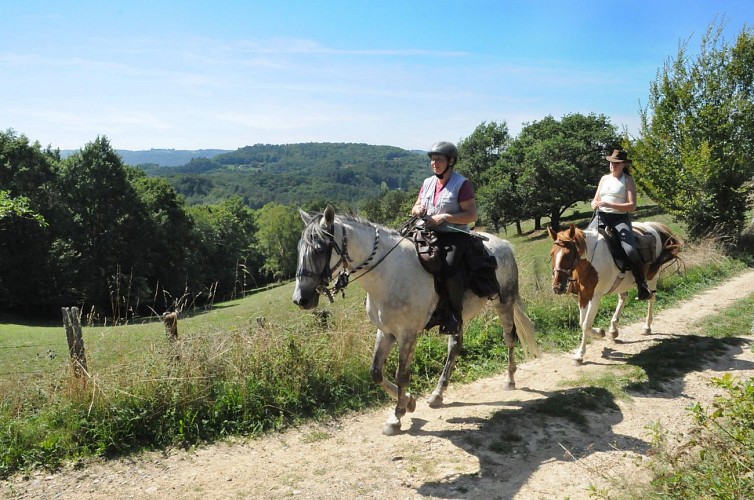 Cheval en Xaintrie Val'Dordogne