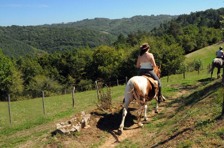 Cheval en Xaintrie Val'Dordogne