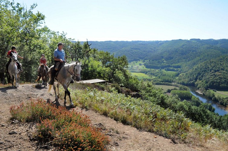 Cheval en Xaintrie Val'Dordogne