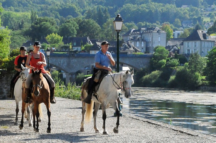 Cheval en Xaintrie Val'Dordogne