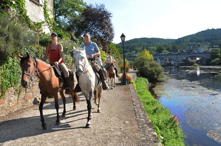 Cheval en Xaintrie Val'Dordogne