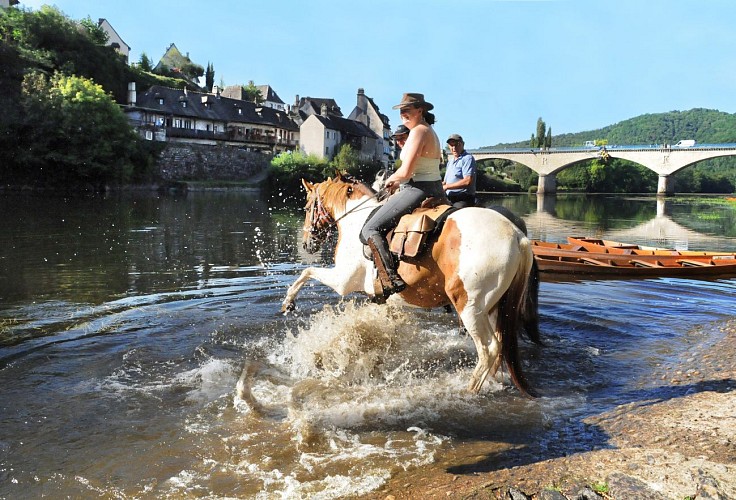 Cheval en Xaintrie Val'Dordogne