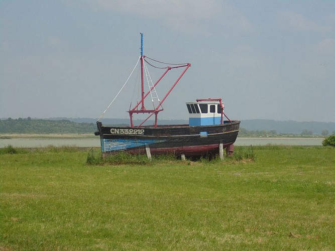 Balade en bord de Seine (départ de La Rivière-Saint-Sauveur)
