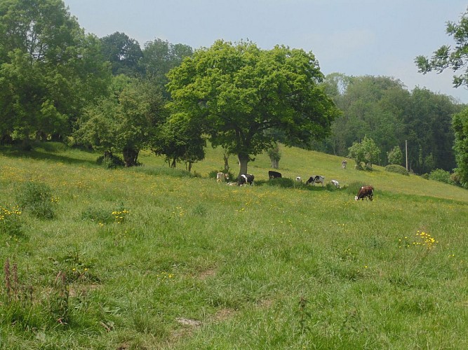 Balade en bord de Seine (départ de La Rivière-Saint-Sauveur)