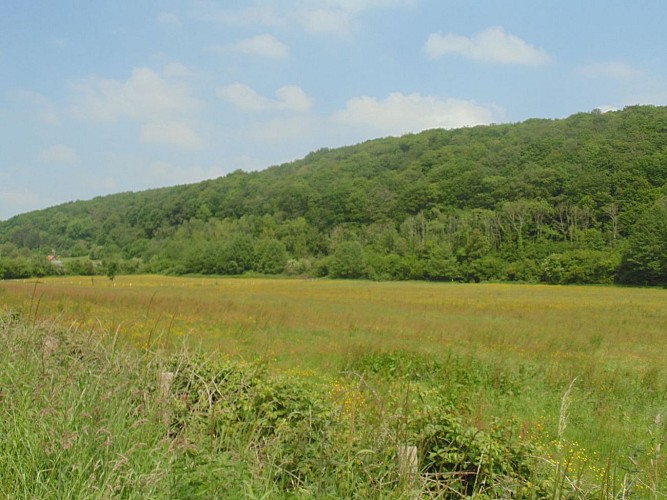 Balade en bord de Seine (départ de La Rivière-Saint-Sauveur)