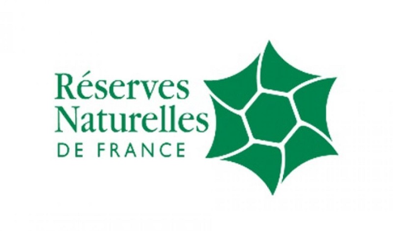 Randonnée de Plume Fine au Refuge de la Femma à pied