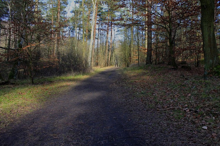 3 - Vendrennes - Sentier de la Blanche Noue