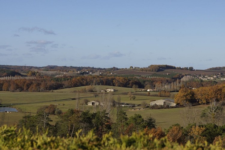 Paysages campagne Montpeyroux © MC Grasseau - OT Bergerac (12)