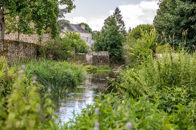 BOUCLE MULTI-RANDONNÉE N°06 - BREE - GESNES - MONTSURS - NEAU - ST CHRISTOPHE DU LUAT - ST CENERE