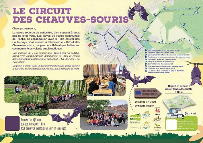 Circuit des Chauves-Souris