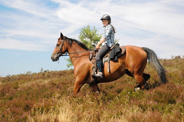 Equitation Monédières