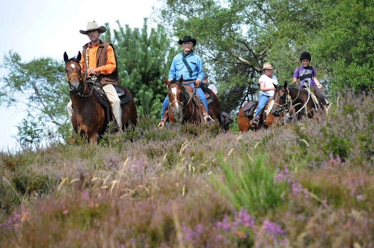 Equitation Monédières