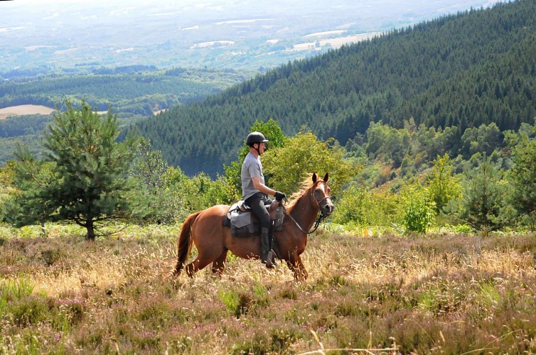 Equitation Monédières