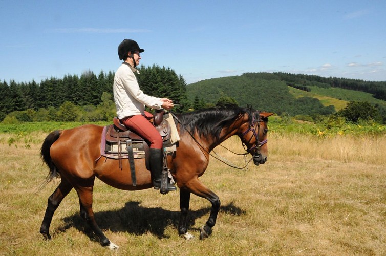 Equitation Monédières