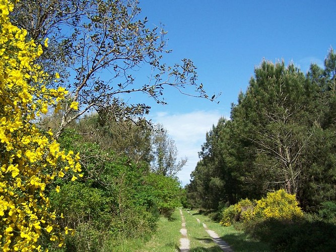 TS RANDO- Decouverte ondres 9km