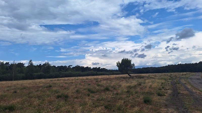 Parc de Kalmthout depuis Huijbergen (NL) - Mini balade - Val et Oli