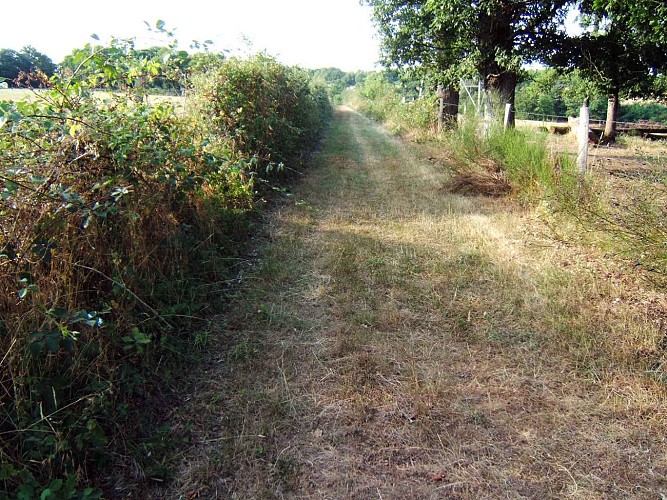 Chemin des deux moulins
