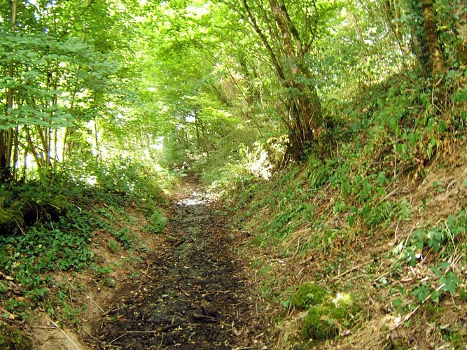 Chemin des deux moulins