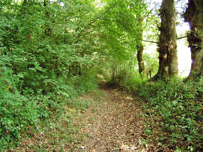 Chemin des deux moulins