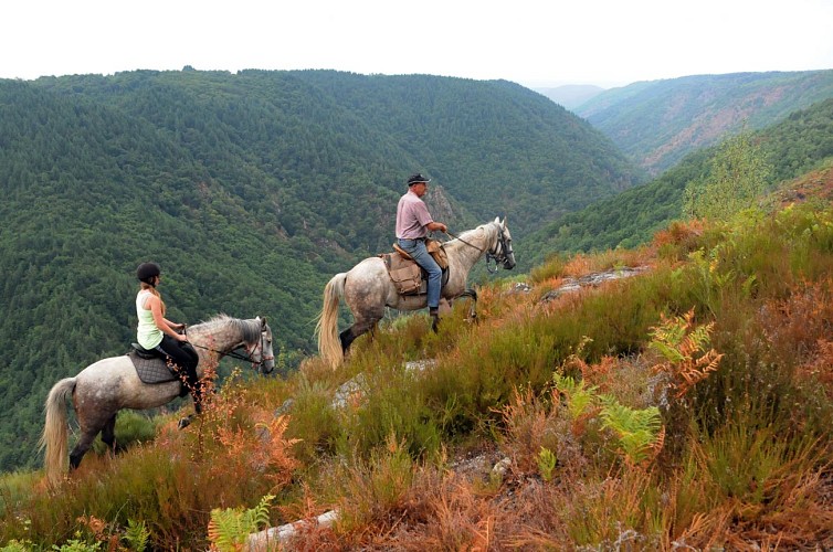 Cheval en Xaintrie Val'Dordogne