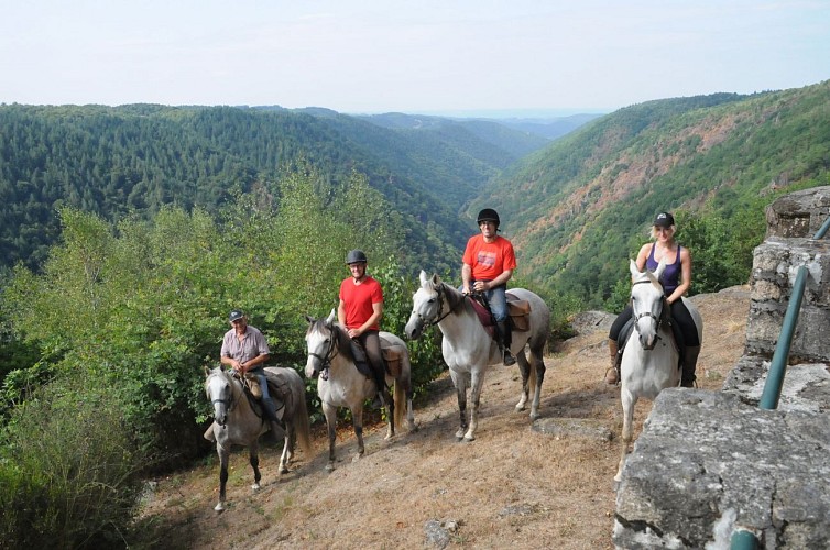 Cheval en Xaintrie Val'Dordogne