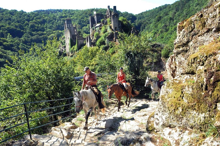 Cheval en Xaintrie Val'Dordogne