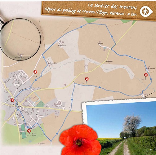 Le-Sentier-des-moutons-Vasles.1
