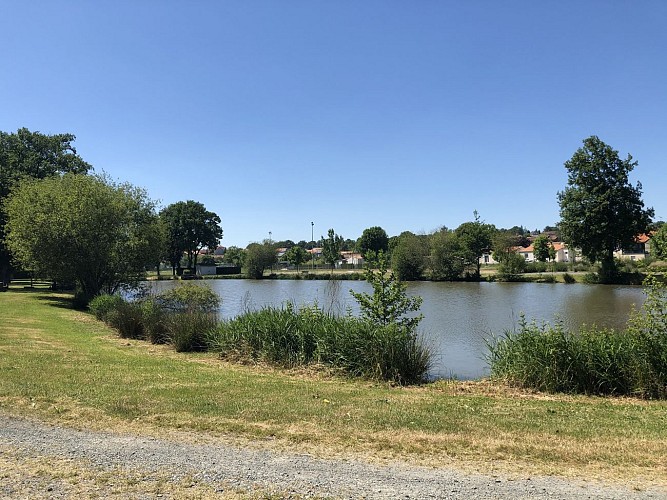 Plan d'eau communal Azay-sur-Thouet