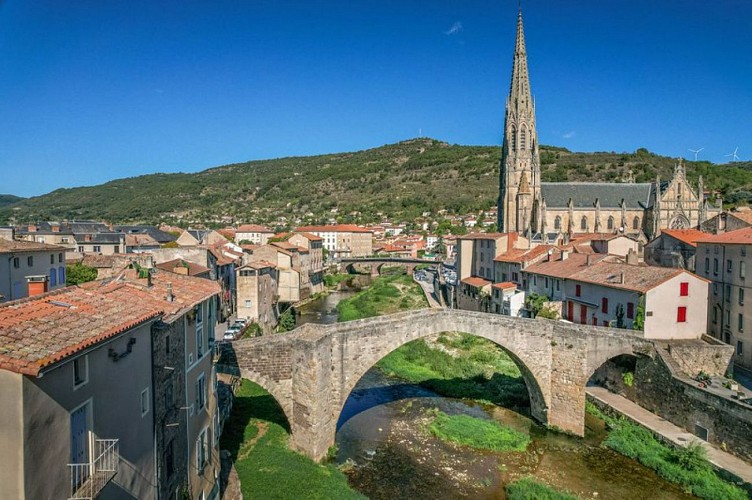 Pont vieux de Saint-Affrique