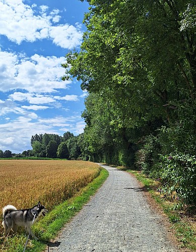 Floordambos à Melsbroek - mini-balade - Val et Oli