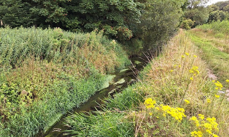 Floordambos à Melsbroek - mini-balade - Val et Oli