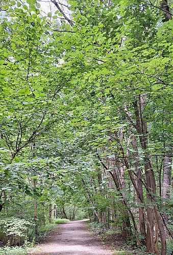 Floordambos à Melsbroek - mini-balade - Val et Oli