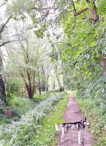 Floordambos à Melsbroek - mini-balade - Val et Oli