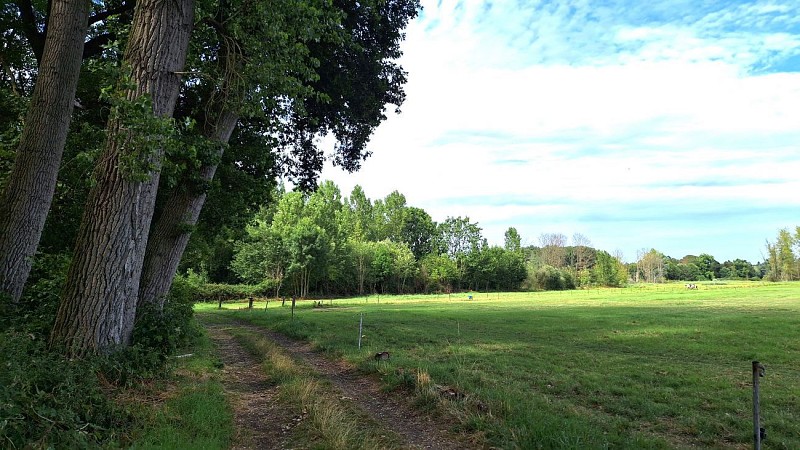 Hofstade - Mini-balade - Val et Oli