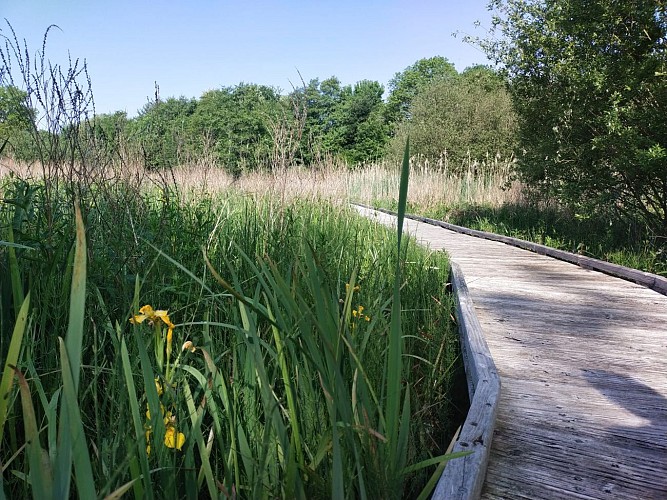 Balades Vertes Montchanin : pont Marais des Morands
