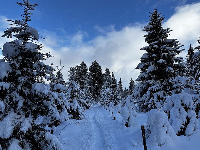 Sentier raquettes : la boucle des Combes_Sallanches