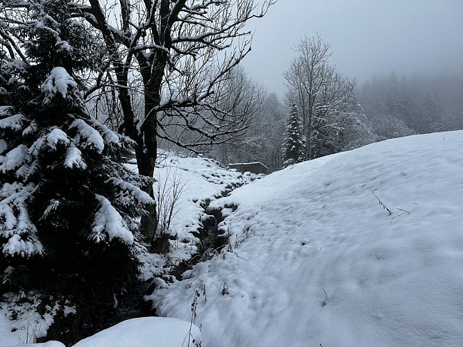 Sentier raquettes : la boucle des Combes_Sallanches