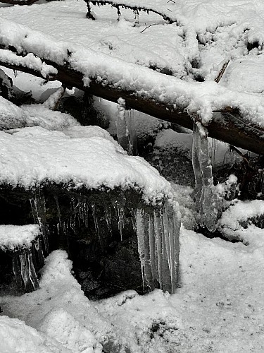 Sentiero con le ciaspole: Il giro delle Combe_Sallanches