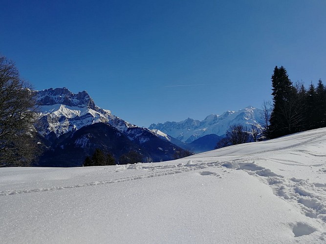 Snowshoe trail: Mayères Plateau Loop