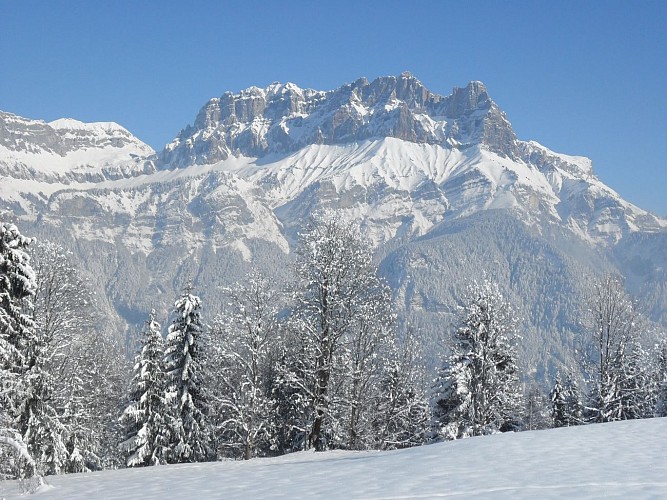 sentier raquettes : boucle du plateau de Mayères