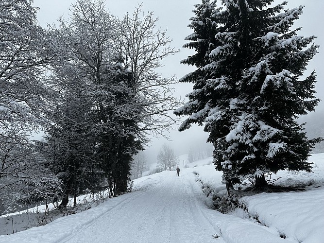 sentier raquettes : boucle du plateau de Mayères_Sallanches