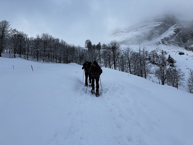 sentier raquettes : boucle du plateau de Mayères_Sallanches