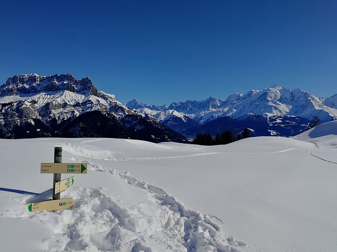 Sentiero con le ciaspole : Giro del plateau di Mayères