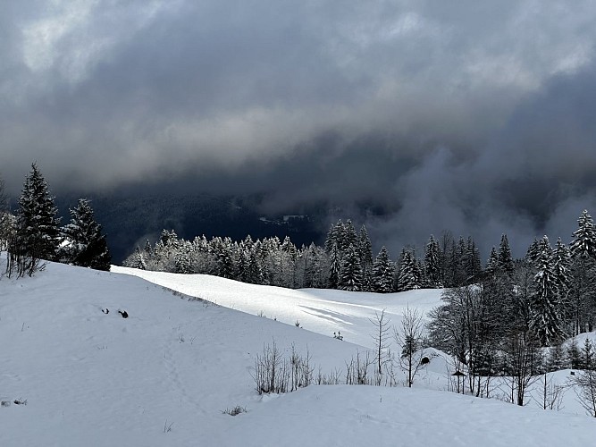 Sentiero con le ciaspole : Giro del plateau di Mayères_Sallanches