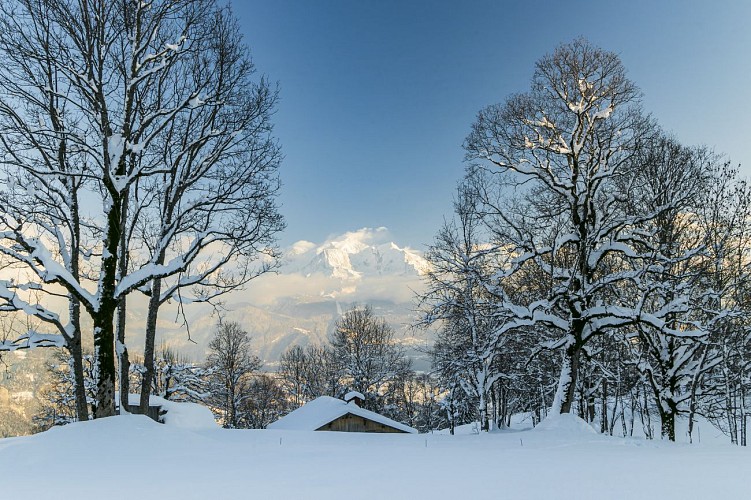 Snowshoe trail: Déramey Loop