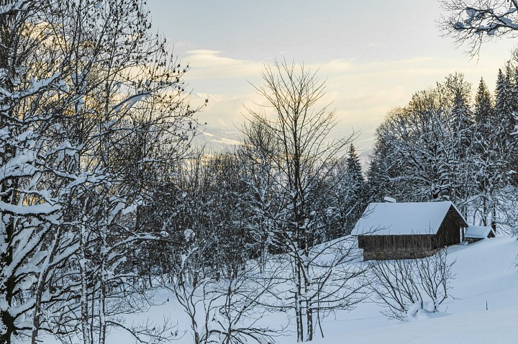 sentier raquettes : boucle du Déramey