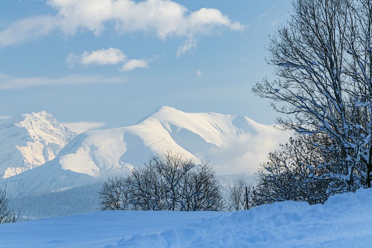 sentier raquettes : boucle du Déramey