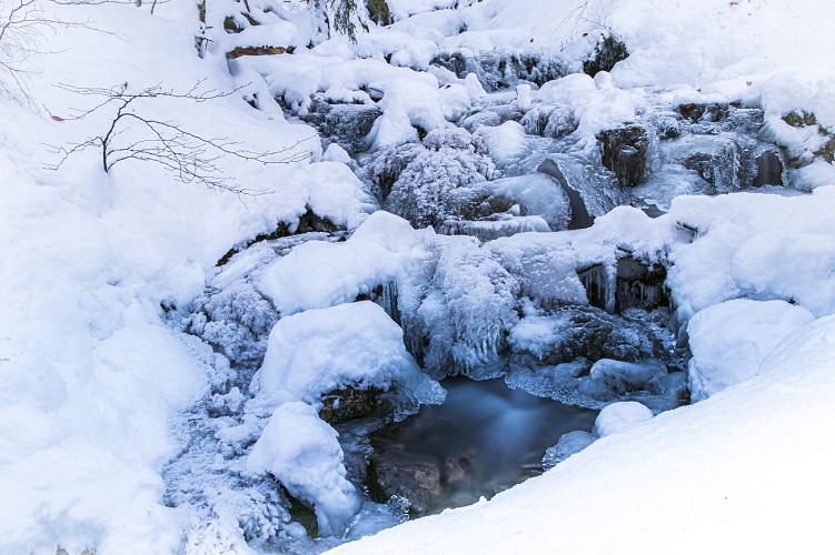 sentier raquettes : boucle du Déramey