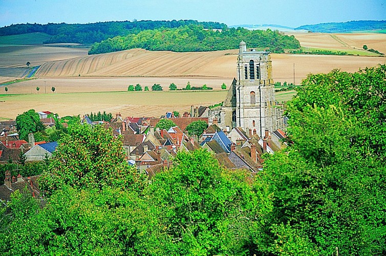 Les coteaux du Sezannais