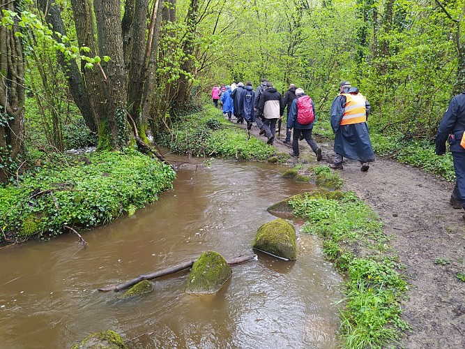 LANDIVY - CIRCUIT LA VALLÉE DU MOULIN DU PRÉ - N°27